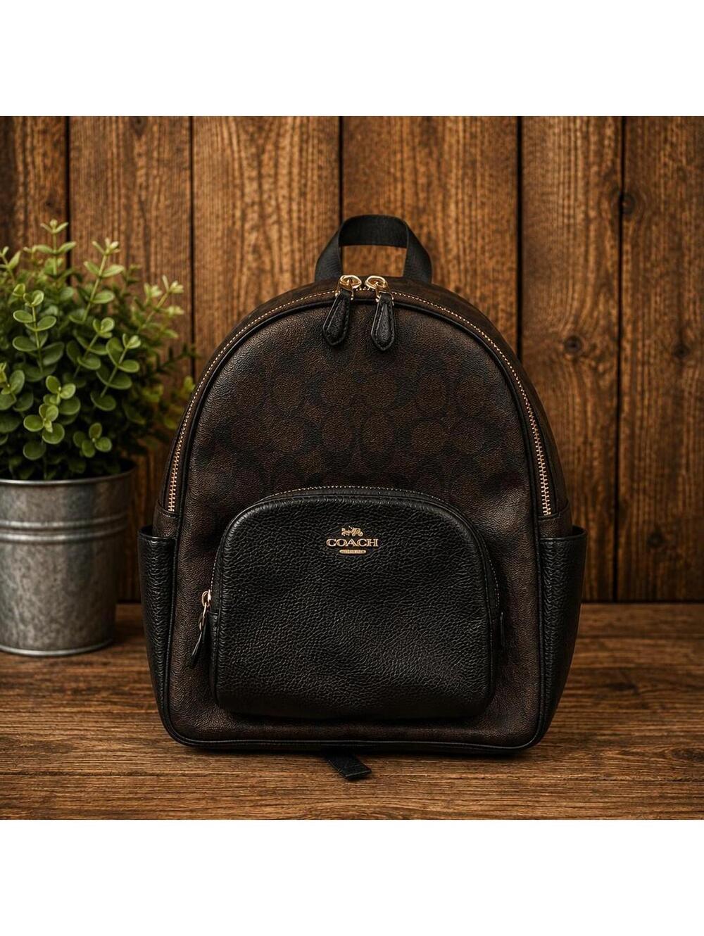 Coach Women's Black and Brown Bag